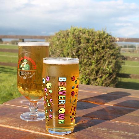 The Chequers Inn Rookley エクステリア 写真